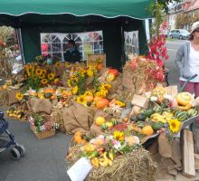 farbenfroher Naturstand